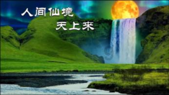飞扬的方块鸟