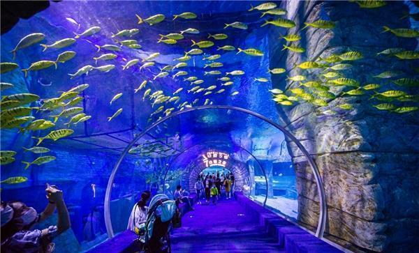 济宁市港航事业发展中心两项课题荣获全市优秀课题