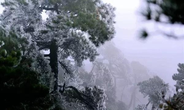 陈立人父亲官员身份被扒,为儿花天价请资深律师,力证他有精神病