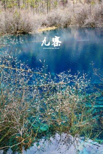 欧洲央行不急于公布 降息时间表