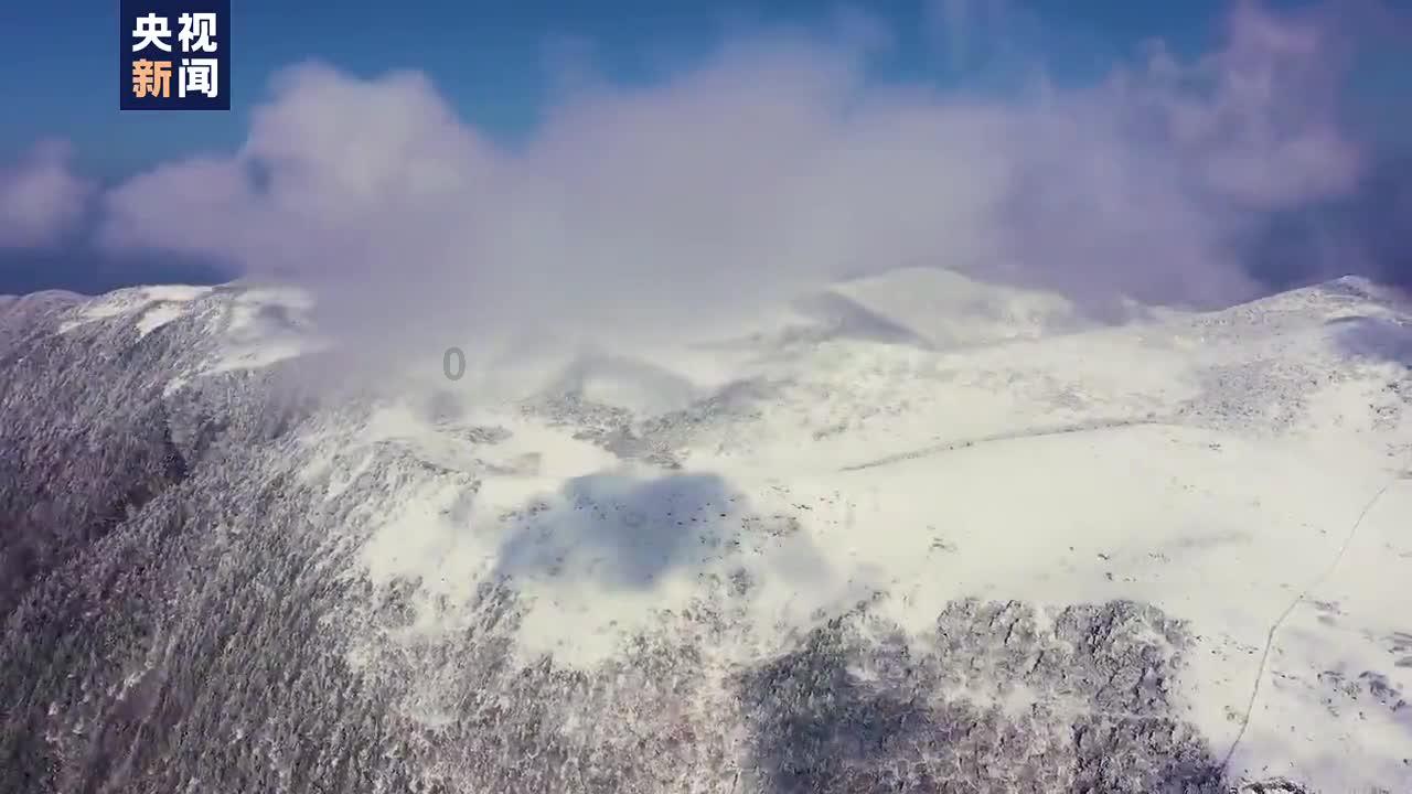 哆啦A梦3奇迹之岛