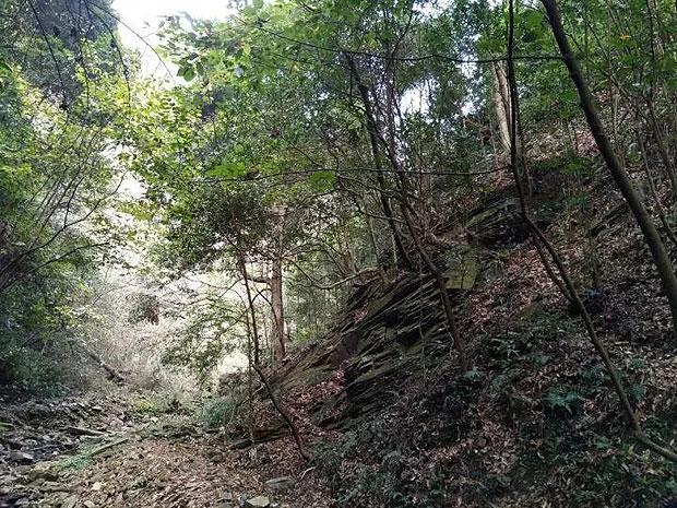 虫虫助手下载