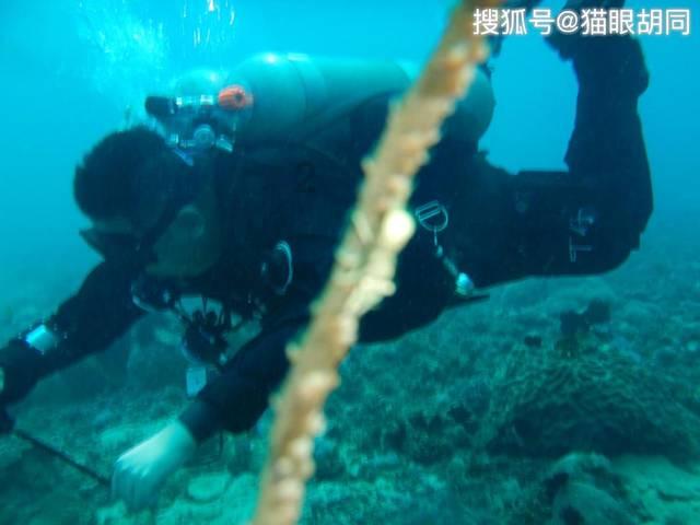 男子拿不出三十万彩礼，女子被逼迫嫁给别人，最后的结局怎么样了？