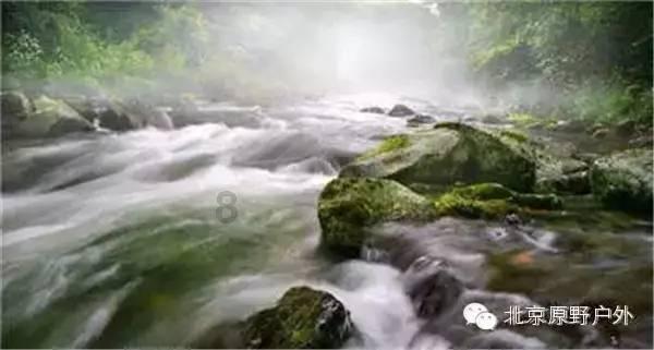 以撒的结合：胎衣
