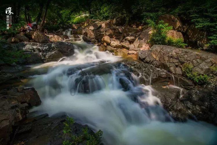 春雨直播app