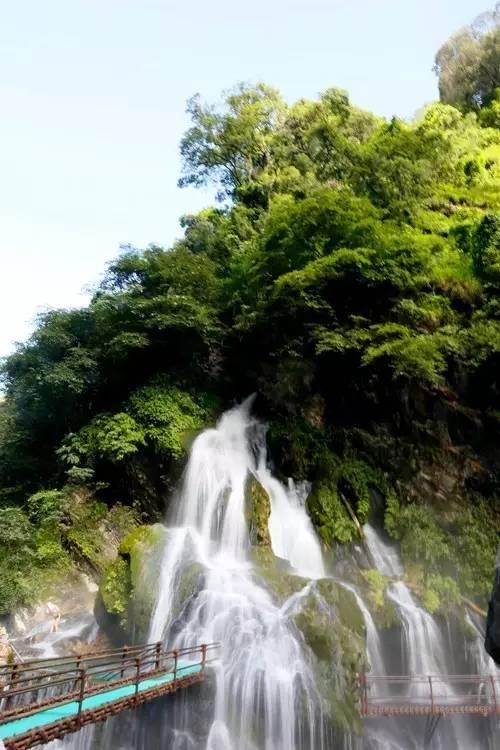 逃离泰莱森林