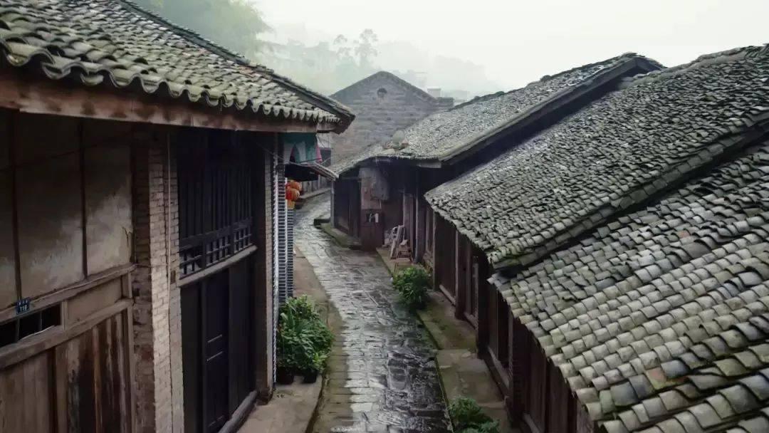 淘气兔救援
